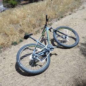 Meet your Posher, Bill